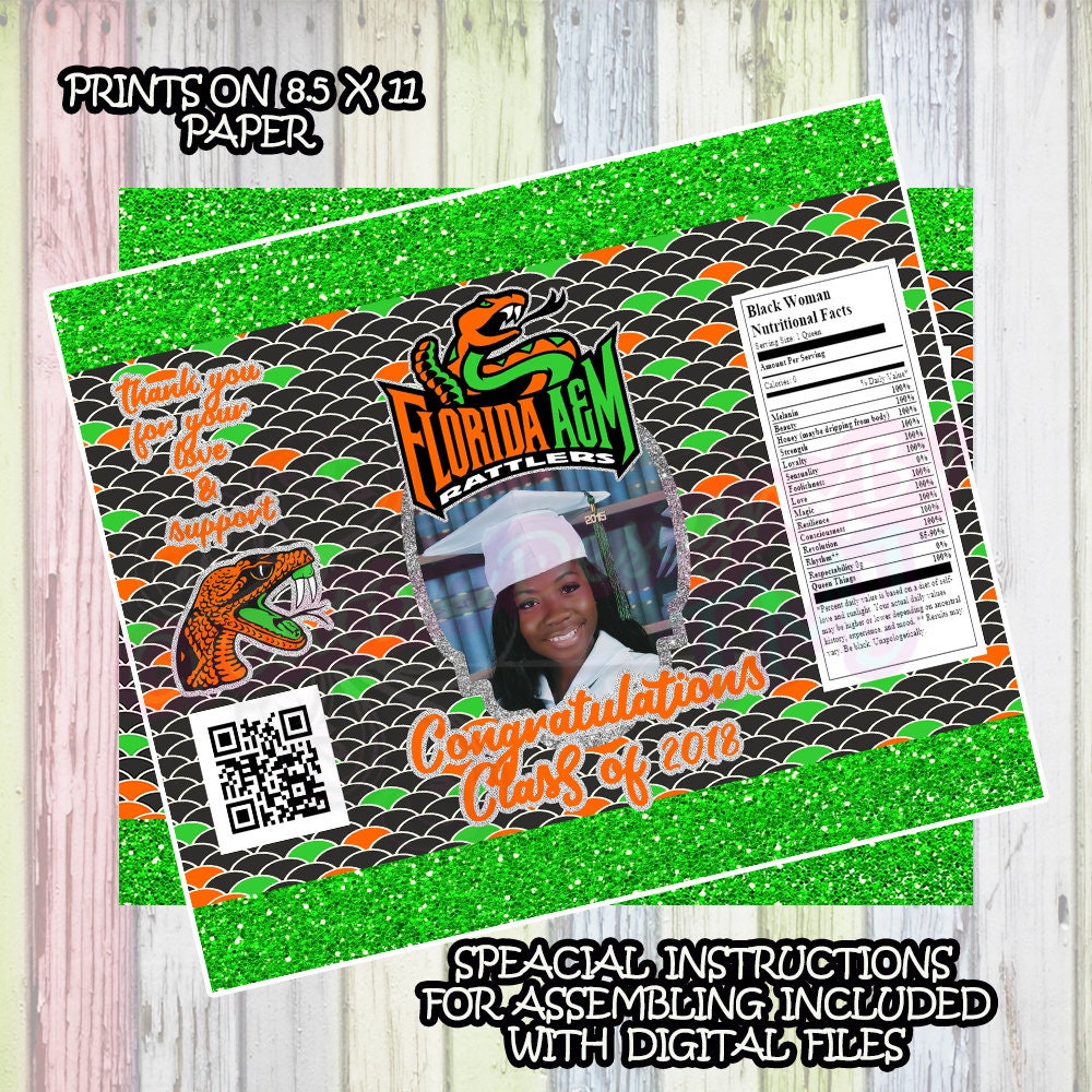 GRADUATION Chip Bag FAMU Chipbags Custom Chip bag Green Bags Cute Grad Bags College Chip Bag FLORIDA A&M University Chip Bag Rattlers